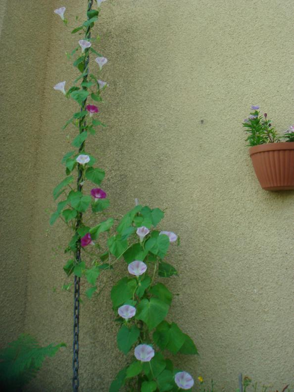 Name:  Sabah Sefas 12.jpg
Views: 879
Size:  70.5 KB
