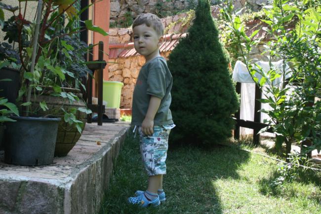 Name:  Ege.jpg
Views: 1080
Size:  66.5 KB