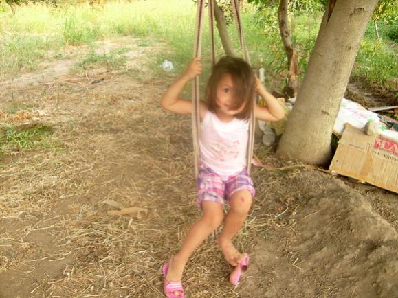 Name:  Cevizde salncak.jpg
Views: 2046
Size:  55.8 KB