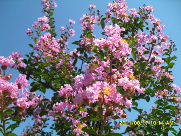 Name:  078.jpg
Views: 879
Size:  71.4 KB