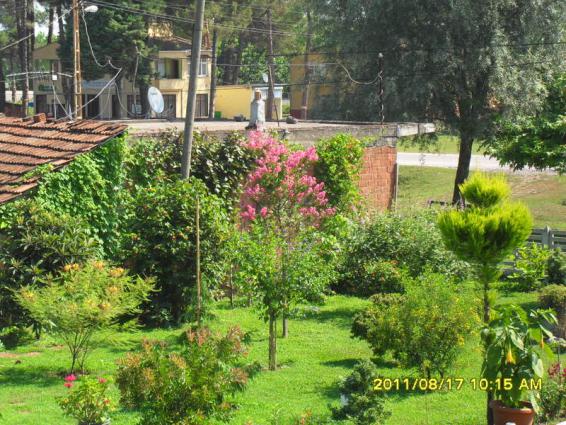 Name:  082.jpg
Views: 794
Size:  72.3 KB