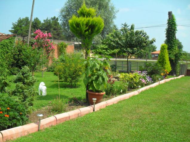 Name:  031.jpg
Views: 817
Size:  70.2 KB