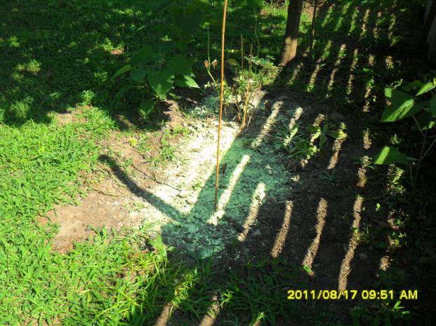Name:  044.jpg
Views: 737
Size:  71.5 KB