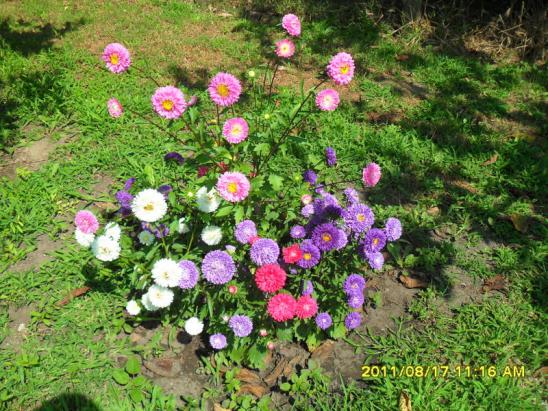 Name:  083.jpg
Views: 584
Size:  73.3 KB