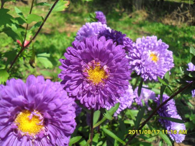 Name:  084.jpg
Views: 642
Size:  62.7 KB