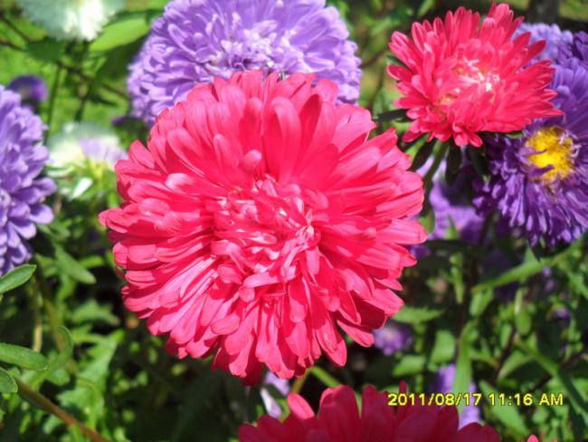 Name:  085.jpg
Views: 639
Size:  57.6 KB