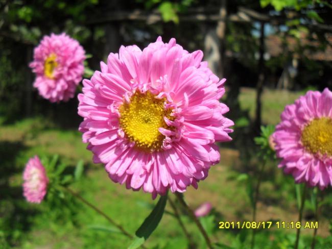 Name:  089.jpg
Views: 621
Size:  46.7 KB