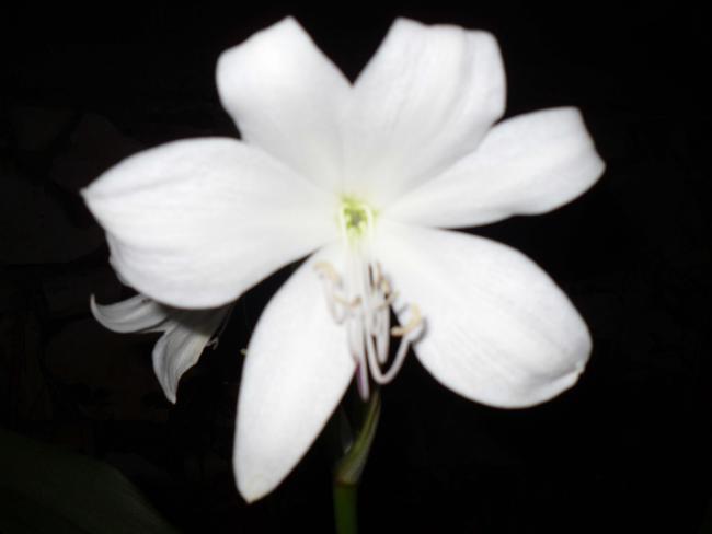 Name:  SDC12608 copy.jpg
Views: 665
Size:  17.4 KB