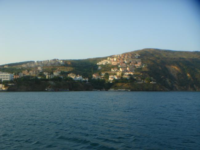 Name:  DSC05868.jpg
Views: 885
Size:  30.2 KB