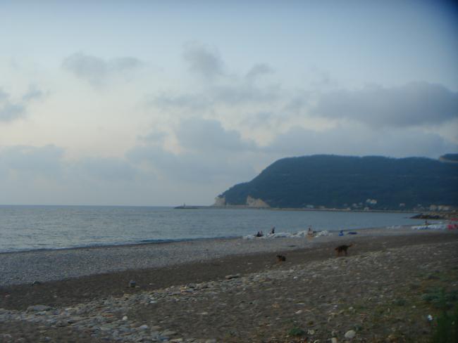 Name:  DSC05896.jpg
Views: 880
Size:  26.5 KB