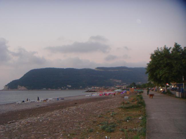 Name:  DSC05907.jpg
Views: 888
Size:  27.7 KB