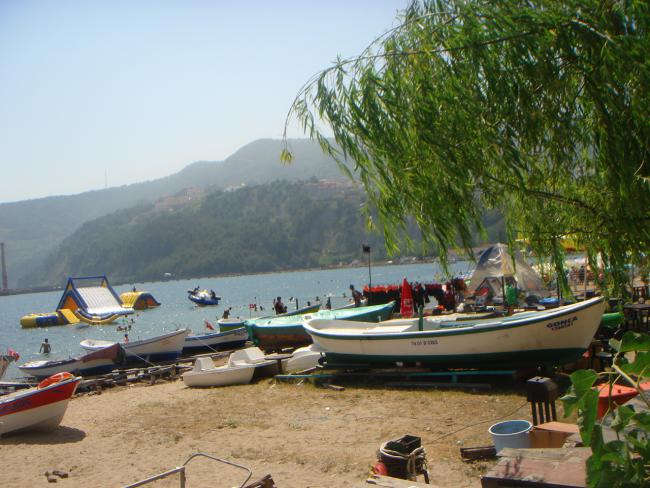 Name:  DSC05909.jpg
Views: 913
Size:  57.3 KB