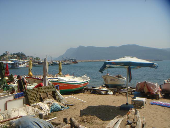 Name:  DSC05911.jpg
Views: 972
Size:  42.6 KB