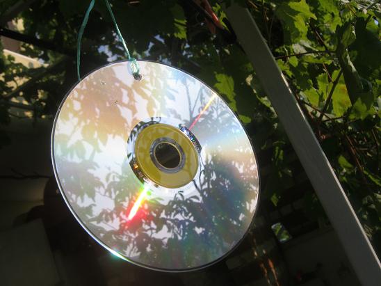Name:  cd1.JPG
Views: 3397
Size:  49.1 KB