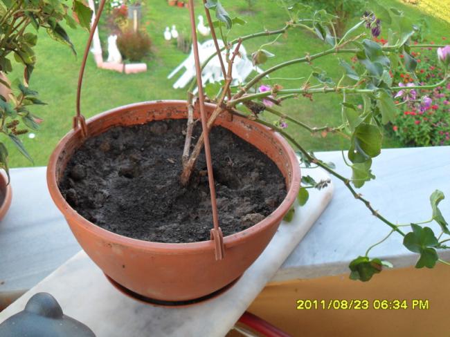 Name:  024.jpg
Views: 620
Size:  53.7 KB