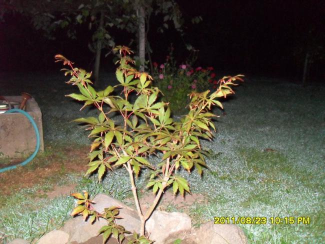 Name:  028.jpg
Views: 937
Size:  60.8 KB