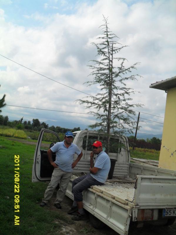 Name:  002.jpg
Views: 876
Size:  58.2 KB