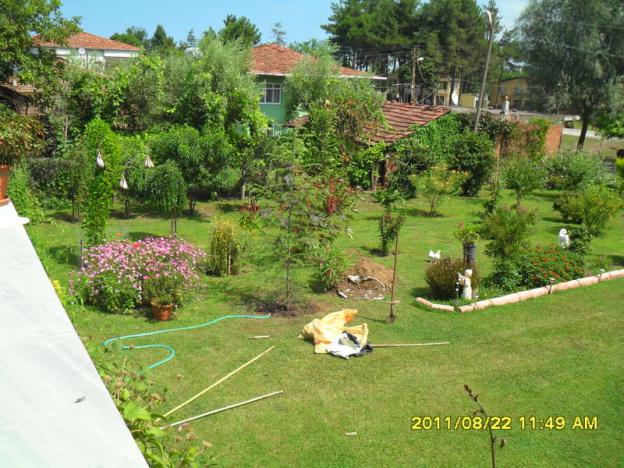 Name:  009.jpg
Views: 884
Size:  70.3 KB