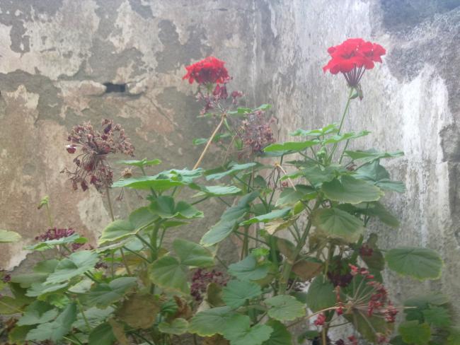Name:  250820111126.jpg
Views: 3164
Size:  52.7 KB