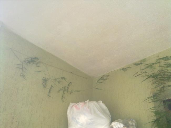 Name:  250820111132.jpg
Views: 2954
Size:  23.6 KB