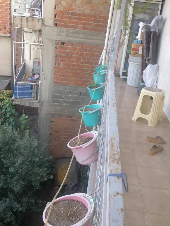 Name:  250820111142.jpg
Views: 2931
Size:  72.1 KB