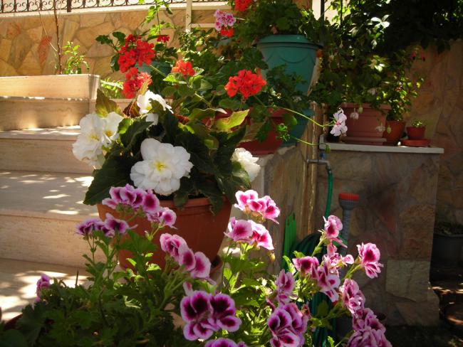 Name:  DSCN5778.jpg
Views: 1017
Size:  64.0 KB
