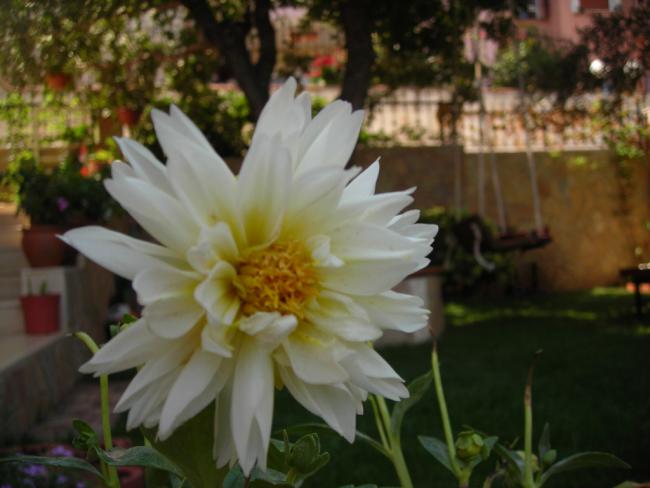 Name:  DSCN6189.jpg
Views: 588
Size:  37.4 KB