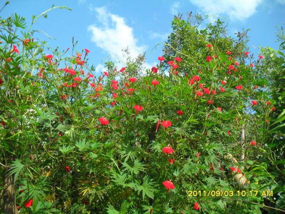 Name:  011.jpg
Views: 757
Size:  72.0 KB