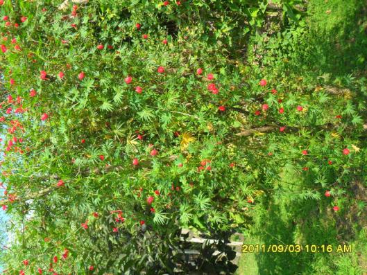 Name:  010.jpg
Views: 912
Size:  73.9 KB