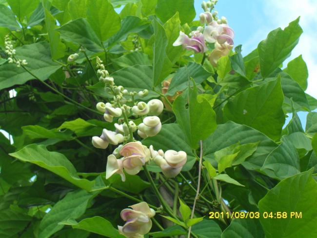 Name:  034.jpg
Views: 749
Size:  50.8 KB
