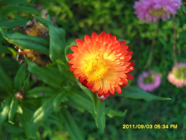 Name:  156.jpg
Views: 785
Size:  36.6 KB
