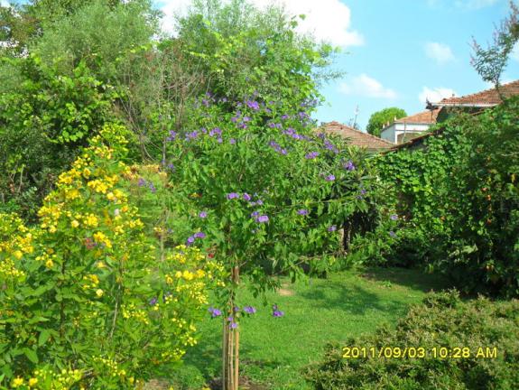 Name:  022.jpg
Views: 771
Size:  71.5 KB