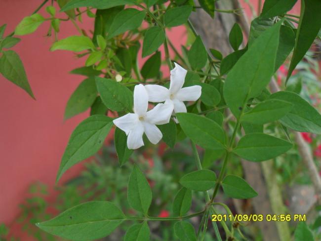 Name:  029.jpg
Views: 736
Size:  35.7 KB