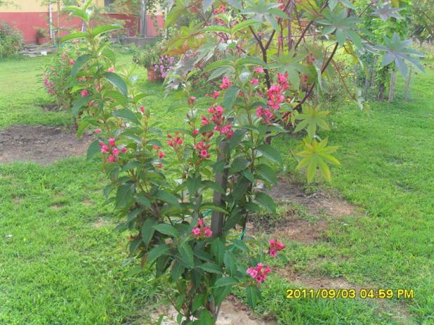 Name:  036.jpg
Views: 752
Size:  70.4 KB