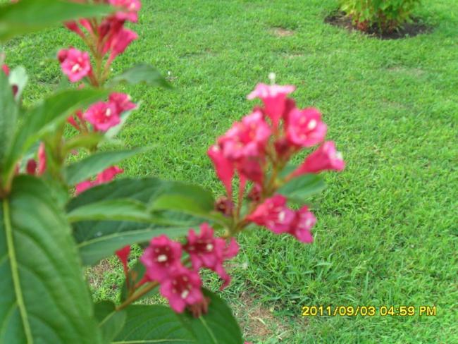 Name:  037.jpg
Views: 763
Size:  60.2 KB