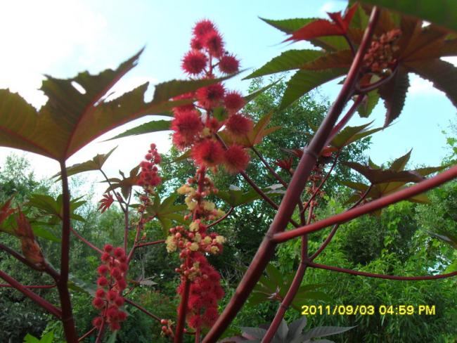 Name:  038.jpg
Views: 759
Size:  63.7 KB