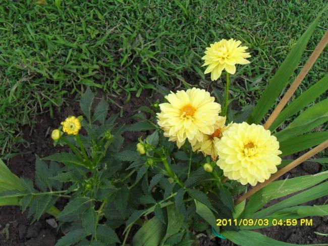 Name:  042.jpg
Views: 772
Size:  66.0 KB