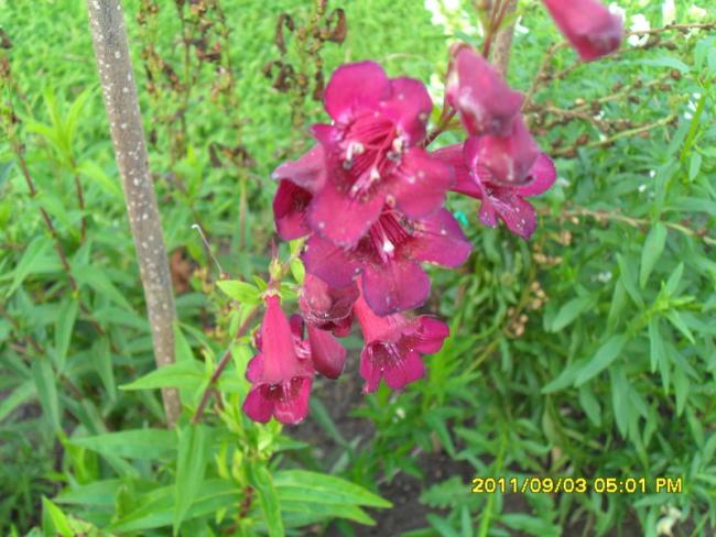Name:  047.jpg
Views: 850
Size:  55.6 KB