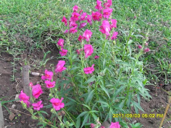 Name:  051.jpg
Views: 747
Size:  72.9 KB