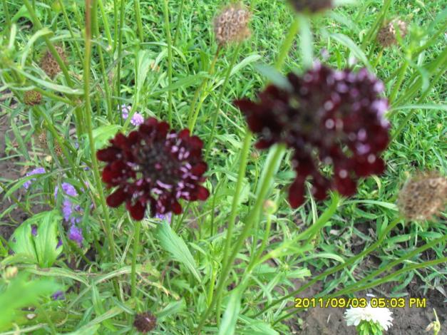 Name:  053.jpg
Views: 716
Size:  71.2 KB