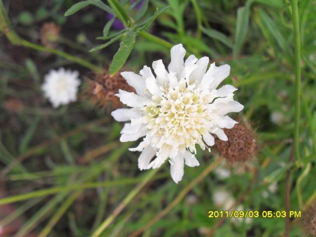 Name:  054.jpg
Views: 718
Size:  39.6 KB
