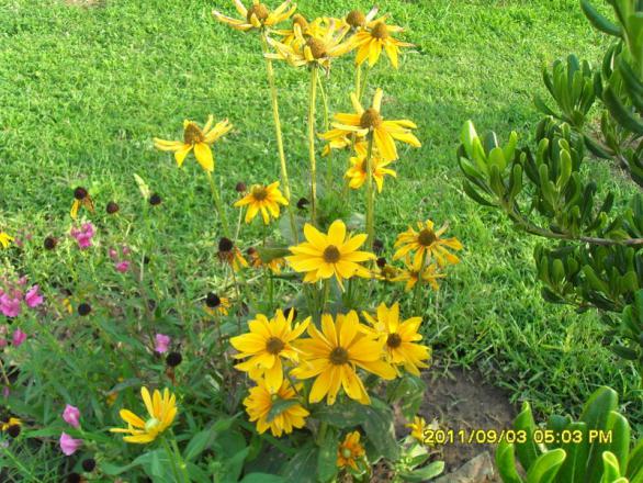 Name:  055.jpg
Views: 716
Size:  72.4 KB