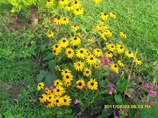 Name:  056.jpg
Views: 718
Size:  73.6 KB