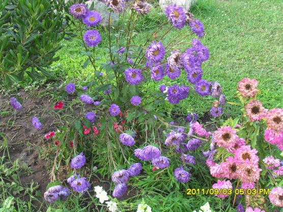 Name:  057.jpg
Views: 709
Size:  73.3 KB