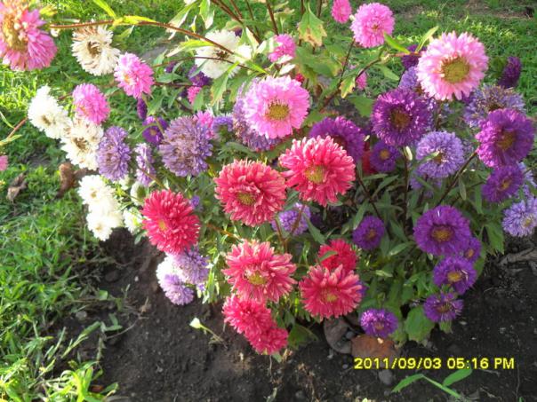 Name:  118.jpg
Views: 757
Size:  72.1 KB