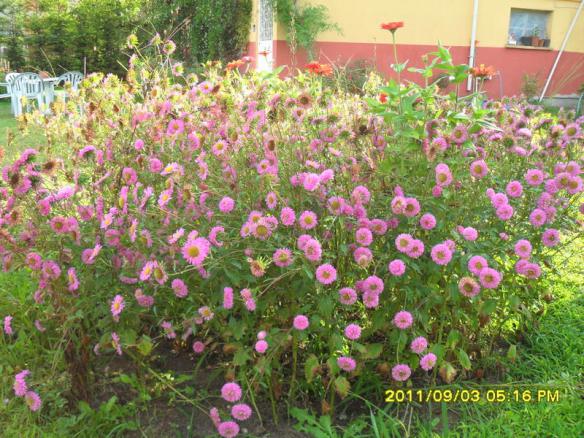 Name:  120.jpg
Views: 698
Size:  71.9 KB