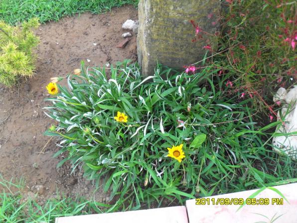 Name:  082.jpg
Views: 696
Size:  71.8 KB