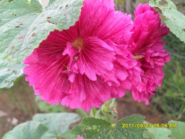 Name:  070.jpg
Views: 728
Size:  50.8 KB