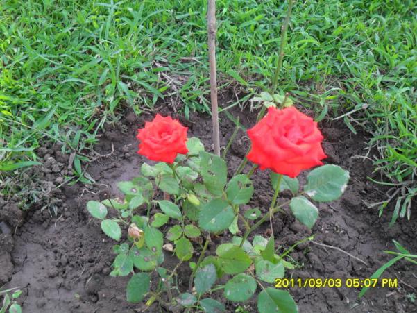 Name:  073.jpg
Views: 797
Size:  72.2 KB