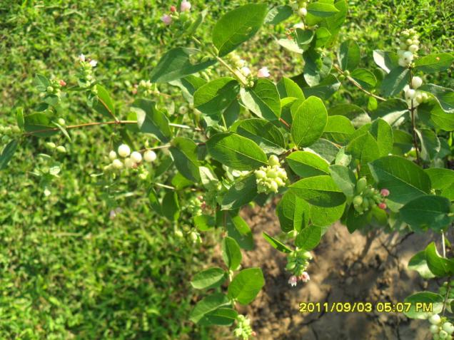 Name:  075.jpg
Views: 721
Size:  70.9 KB